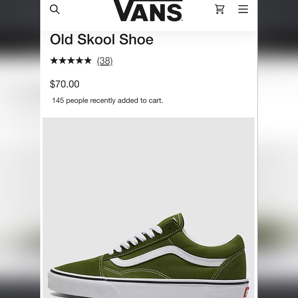 Vans old skool shoes